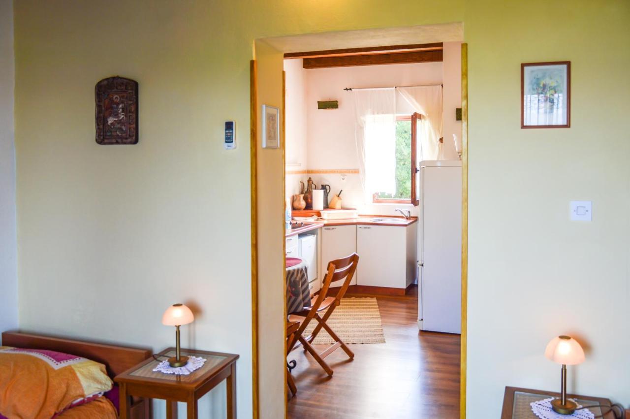 Apartment Zoja Pinezići エクステリア 写真