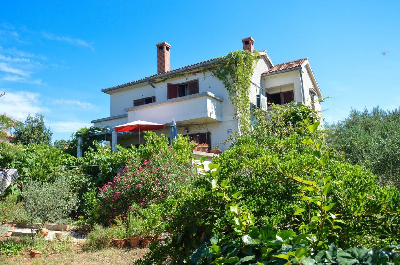 Apartment Zoja Pinezići エクステリア 写真