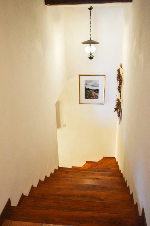 Apartment Zoja Pinezići エクステリア 写真