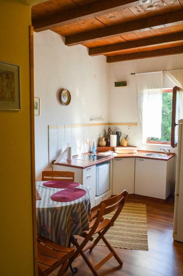 Apartment Zoja Pinezići エクステリア 写真